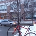 un_arbre_a_velo.3